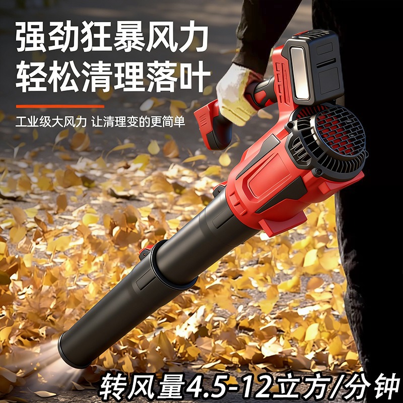 Soplador de Hojas de Iones de  - Outdoor Power Tool Kit reseña y precio